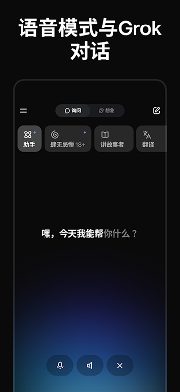 Grok AI 产品界面