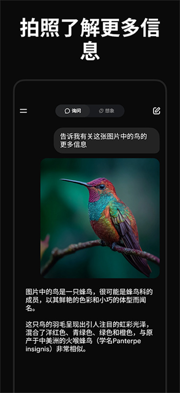 Grok AI 关系频道产品界面